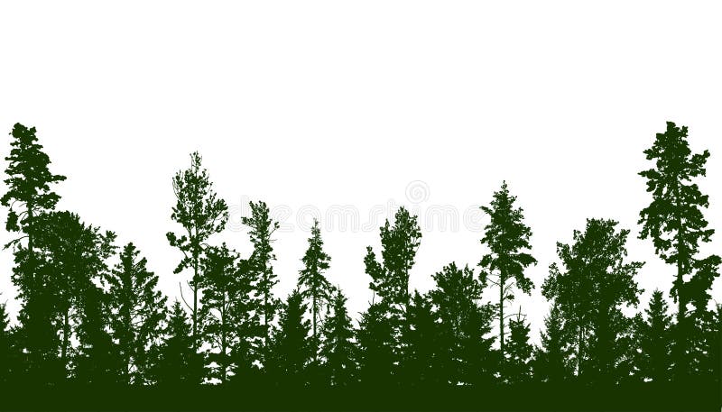 Panorama of beautiful forest, silhouette of firs, pines and different deciduous trees. Vector illustration stock illustration Panorama of beautiful forest, silhouette of firs, pines and different deciduous trees. Vector illustration stock illustration