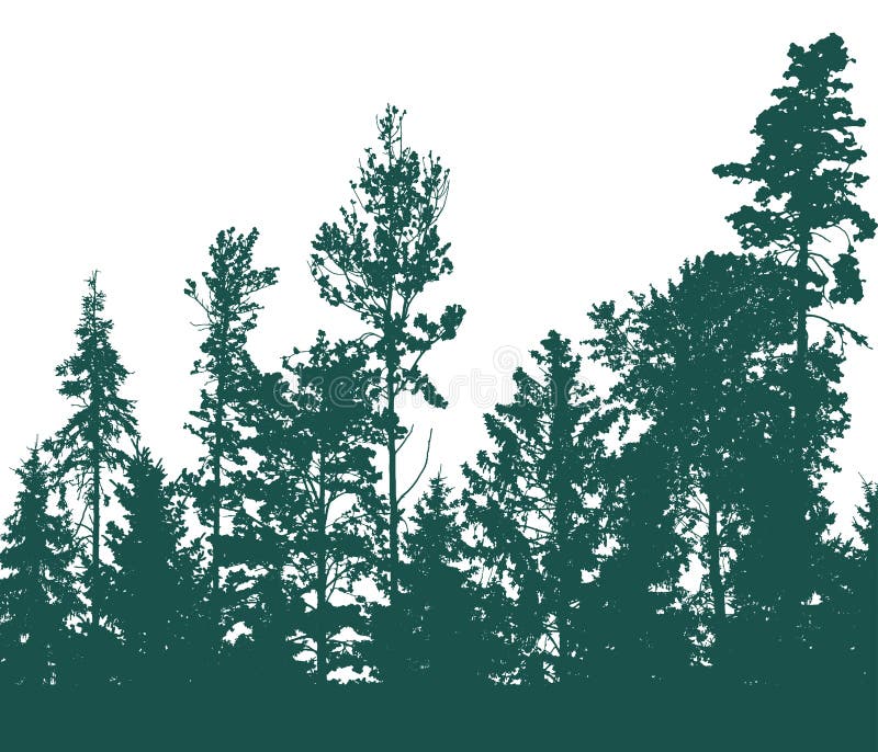 Panorama of beautiful forest, silhouette of firs, pines and different deciduous trees. Vector illustration stock illustration Panorama of beautiful forest, silhouette of firs, pines and different deciduous trees. Vector illustration stock illustration