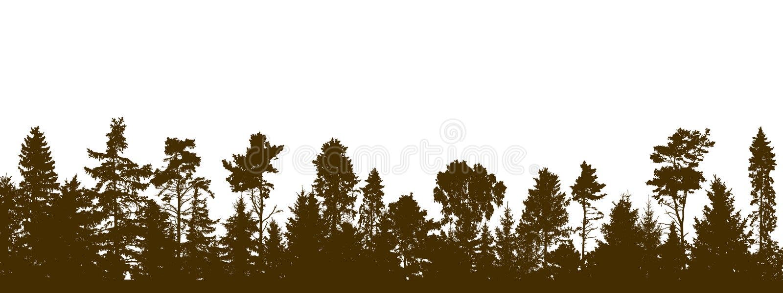 Panorama of beautiful forest, silhouette of firs, pines and different deciduous trees. Vector illustration royalty free illustration Panorama of beautiful forest, silhouette of firs, pines and different deciduous trees. Vector illustration royalty free illustration