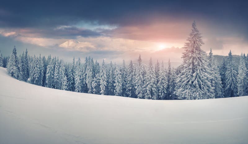 Colorful winter panorama of snowy mountains. Fresh snow at frosty morning glowing first sunlight. Instagram toning. Colorful winter panorama of snowy mountains. Fresh snow at frosty morning glowing first sunlight. Instagram toning.