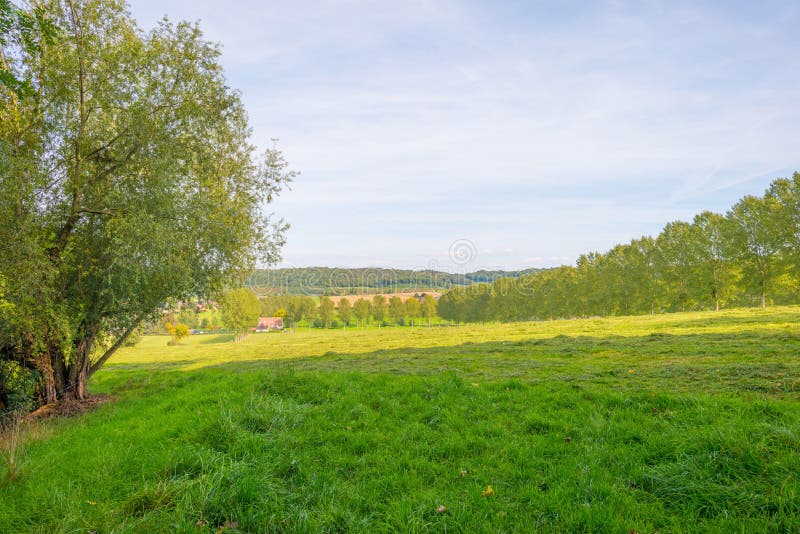 Panorama d'un pré vert sur une colline au soleil image stock Panorama d'un pré vert sur une colline au soleil image stock