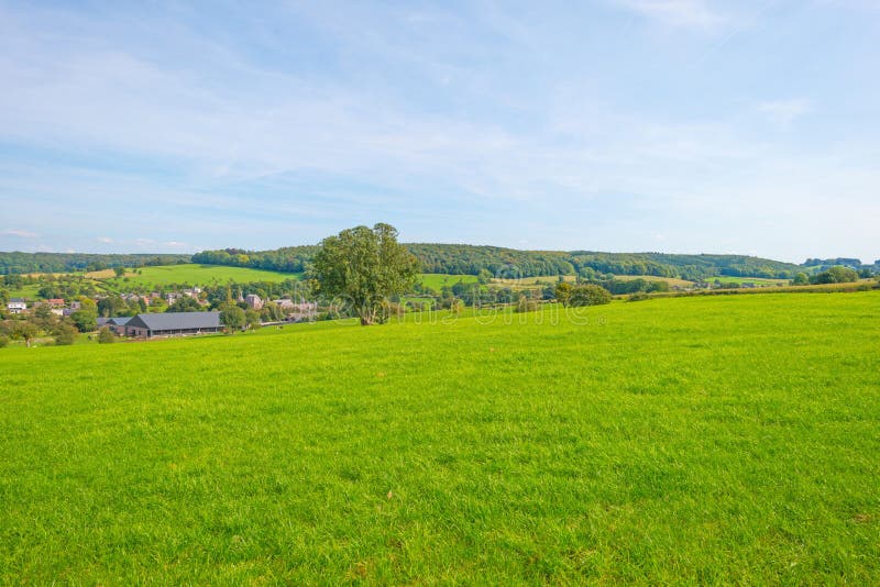 Panorama d'un pré vert sur une colline au soleil photographie stock libre de droits Panorama d'un pré vert sur une colline au soleil photographie stock libre de droits