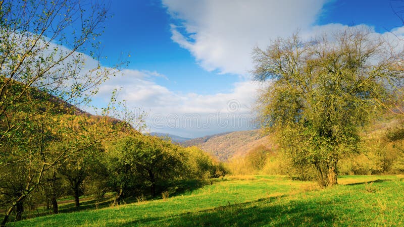 Panorama da montanha e do jardim do outono