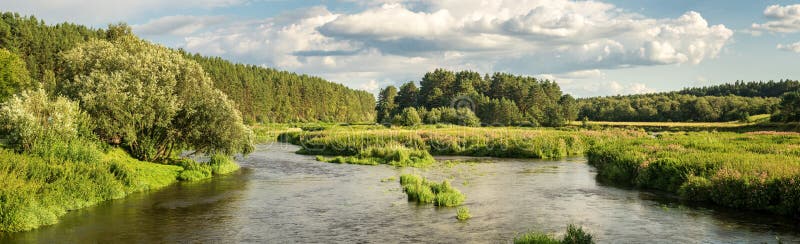 Panorama da paisagem do verão nos bancos do rio de Ural com floresta, Rússia