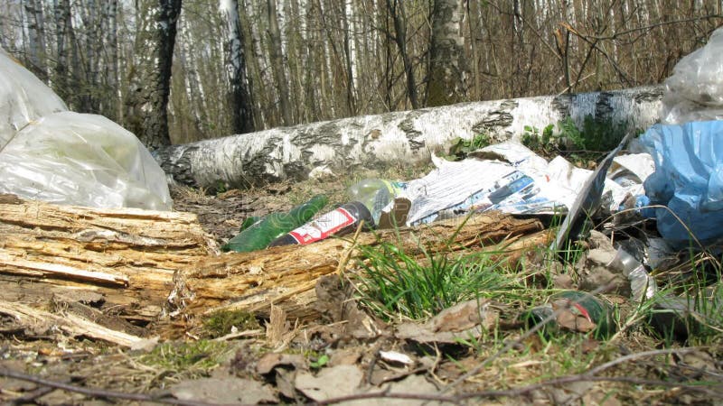 Panorama de la basura en el tiempo de vista de zoominas forestales metrajes