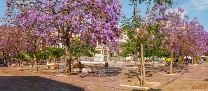 Panorama de la plaza de la Merced, Malaga photographie stock Panorama de la plaza de la Merced, Malaga photographie stock
