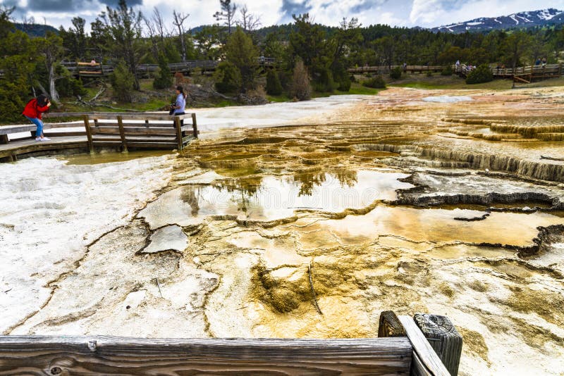 Panorama de Mamoth Hot Springs photo libre de droits Panorama de Mamoth Hot Springs photo libre de droits
