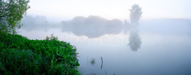 Panorama de niebla del verano hermoso de los árboles que crecen en el banco del río fotografía de archivo Panorama de niebla del verano hermoso de los árboles que crecen en el banco del río fotografía de archivo
