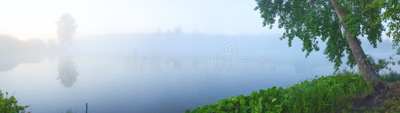 Panorama de niebla del verano hermoso de los árboles que crecen en el banco del río fotos de archivo Panorama de niebla del verano hermoso de los árboles que crecen en el banco del río fotos de archivo