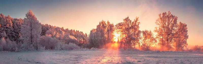 Panorama de paysage de nature d'hiver au lever de soleil Fond de Noël photo stock Panorama de paysage de nature d'hiver au lever de soleil Fond de Noël photo stock