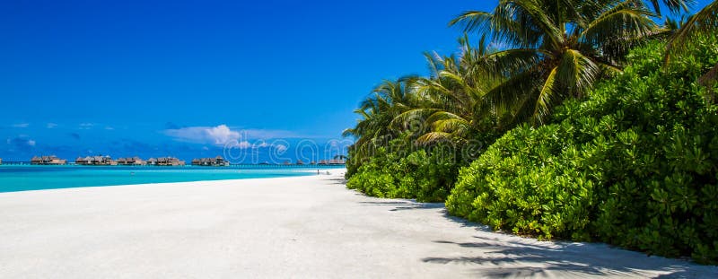 Panorama de plage des Maldives sous le ciel bleu image stock Panorama de plage des Maldives sous le ciel bleu image stock