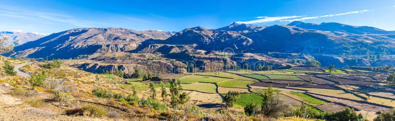 Panorama del barranco de Colca, Perú, Suramérica. Incas para construir el cultivo de terrazas con la charca y el acantilado. foto de archivo Panorama del barranco de Colca, Perú, Suramérica. Incas para construir el cultivo de terrazas con la charca y el acantilado. foto de archivo