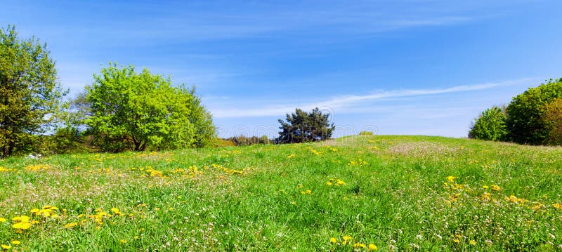 Panorama del prado del verano con la hierba verde, los árboles y el cielo azul fotografía de archivo Panorama del prado del verano con la hierba verde, los árboles y el cielo azul fotografía de archivo