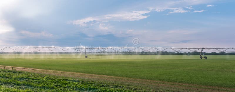 Panorama del sistema di spruzzatori d'agricoltura automatizzato di irrigazione sul campo agricolo coltivato del paesaggio