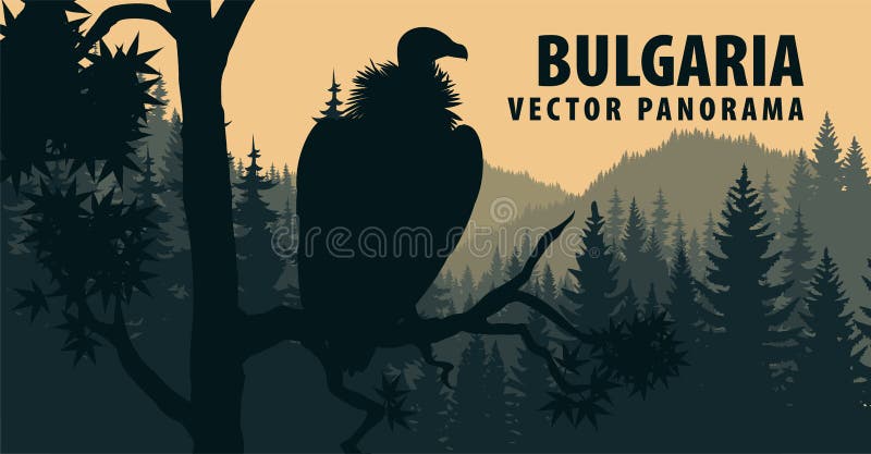 Panorama del vector de Bulgaria con el buitre de Griffon