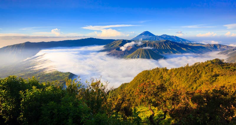 Panorama del vulcano ad alba, East Java, Indonesia di Bromo