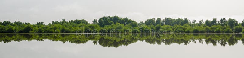 Panorama della riflessione perfetta degli alberi in lago, zone umide centrali della Gambia, Africa occidentale fotografie stock Panorama della riflessione perfetta degli alberi in lago, zone umide centrali della Gambia, Africa occidentale fotografie stock