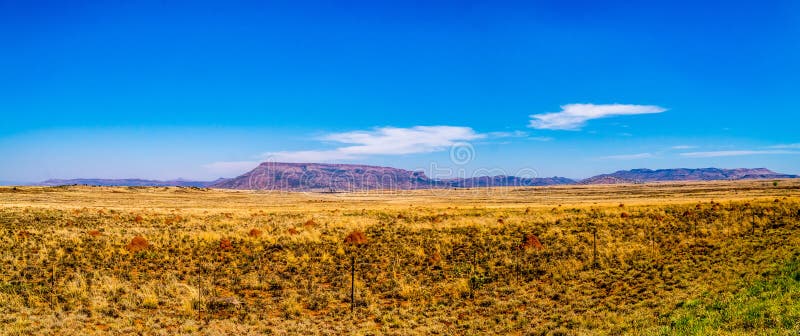 Panorama of the Endless wide open landscape of the semi desert Karoo Region in Free State and Eastern Cape provinces in South Africa under blue sky. Panorama of the Endless wide open landscape of the semi desert Karoo Region in Free State and Eastern Cape provinces in South Africa under blue sky