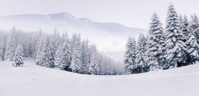 Panorama der nebeligen Winterlandschaft lizenzfreies stockbild Panorama der nebeligen Winterlandschaft lizenzfreies stockbild