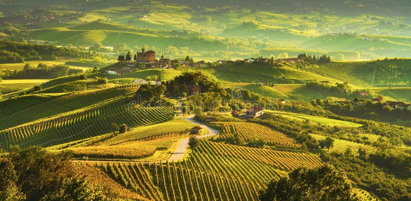 Panorama di tramonto delle vigne di Langhe, Grinzane Covour, Piemonte, Italia Europa