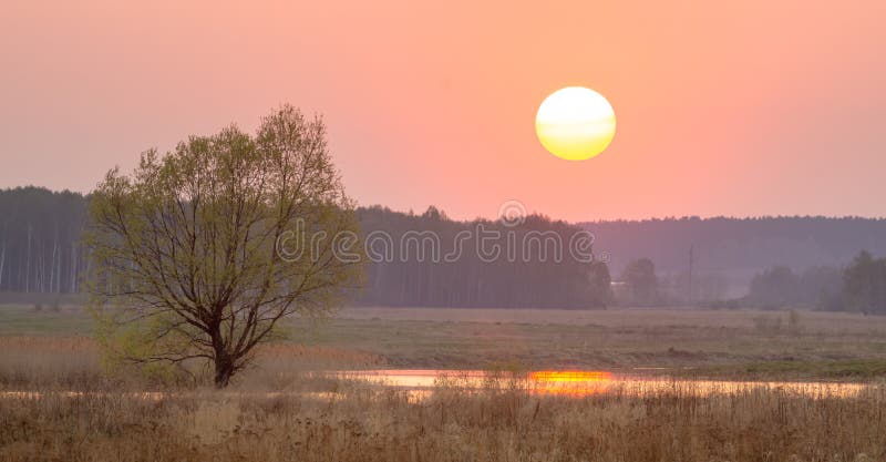 Panorama di uguagliare paesaggio con un albero vicino al fiume, Russia, Ural fotografia stock Panorama di uguagliare paesaggio con un albero vicino al fiume, Russia, Ural fotografia stock