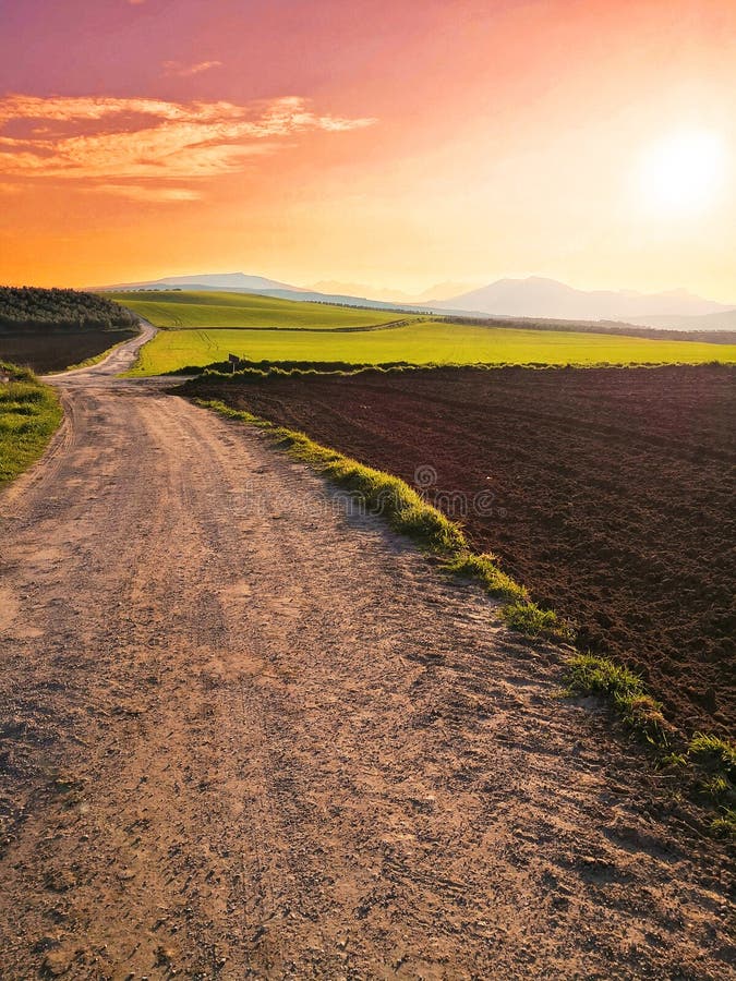 Grass Meadow at Sunset in Spain Stock Photo Image of bright, dawn