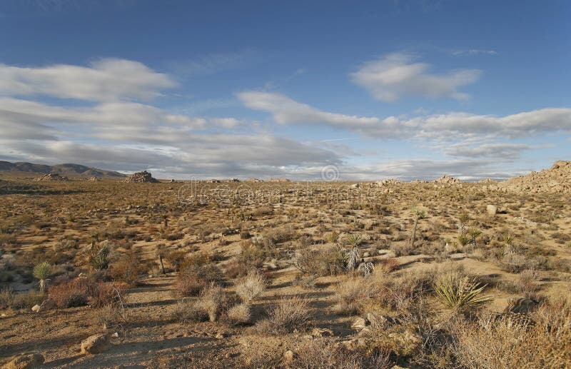 Panorama do deserto