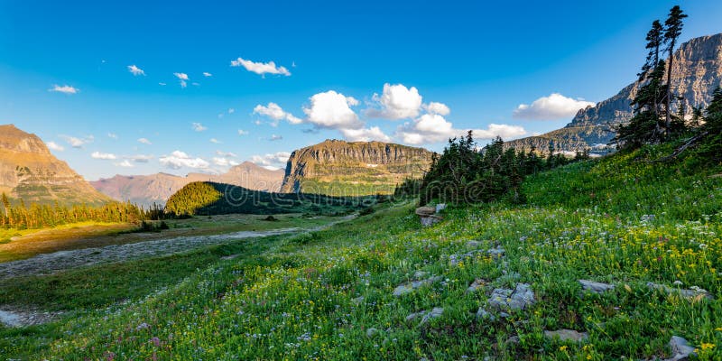 Panorama View Parque Nacional Glacier foto de stock