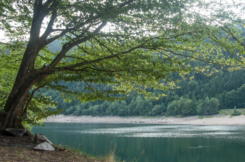 Panorama do lago de Kruth em Alsácia fotos de stock