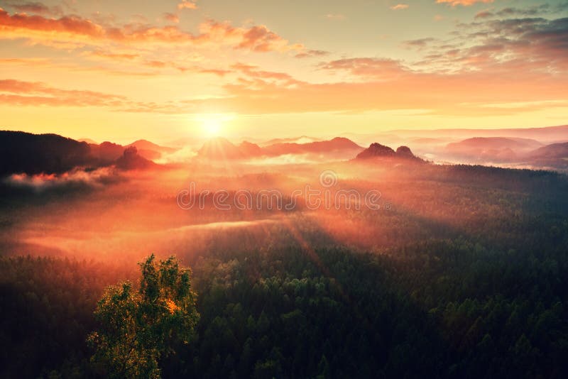 Autumn sunrise panorama in a beautiful mountain within inversion. Peaks of hills increased from foggy background. Autumn sunrise panorama in a beautiful mountain within inversion. Peaks of hills increased from foggy background.