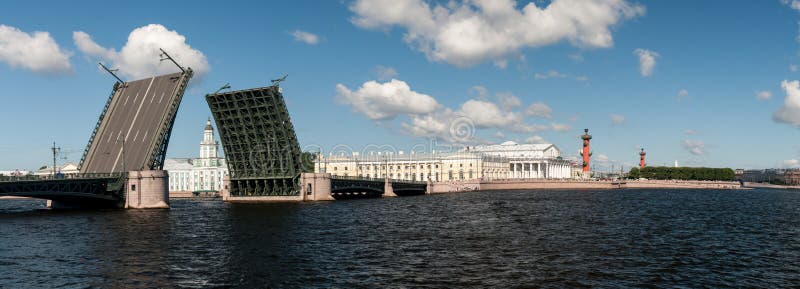 Panorama of the drawn Palace Bridge in the city of St. Petersburg in the summer afternoon