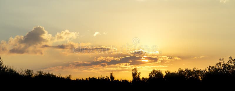 Panorama du ciel jaune au coucher du soleil au-dessus des silhouettes des arbres photo stock Panorama du ciel jaune au coucher du soleil au-dessus des silhouettes des arbres photo stock