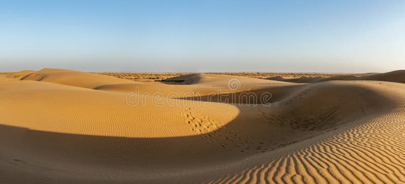 Panorama of dunes in Thar Desert, Rajasthan, India stock photography