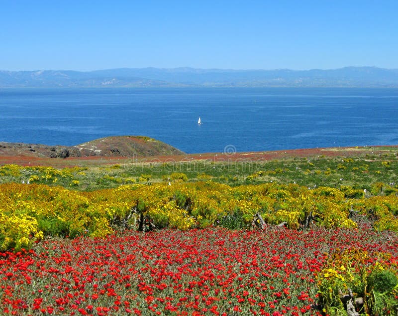 Panorama, Eiland Anacapa stock afbeelding. Image of californië 5130673