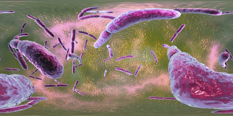 panorama esférico 360-degree del lactobacilo de las bacterias