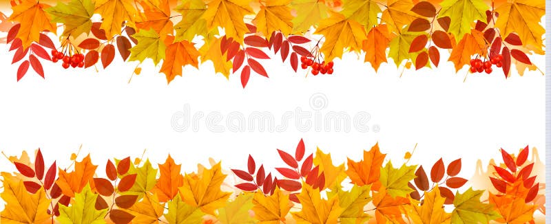 Panorama-Fall Autumn Colorful Leaves Background vektor abbildung