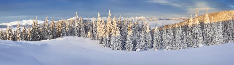 Panorama of foggy winter landscape in the mountains. Panorama of the foggy winter landscape in the mountains royalty free stock photos