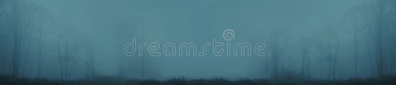 Panorama of forest fog in the winter forest, mysterious mystical landscape of greenish color