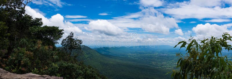 Panorama of fresh green forest nature against beautiful blue sky stock photography Panorama of fresh green forest nature against beautiful blue sky stock photography