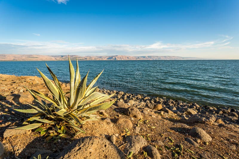 Panorama of The Galilee Sea, Israel royalty free stock photography Panorama of The Galilee Sea, Israel royalty free stock photography