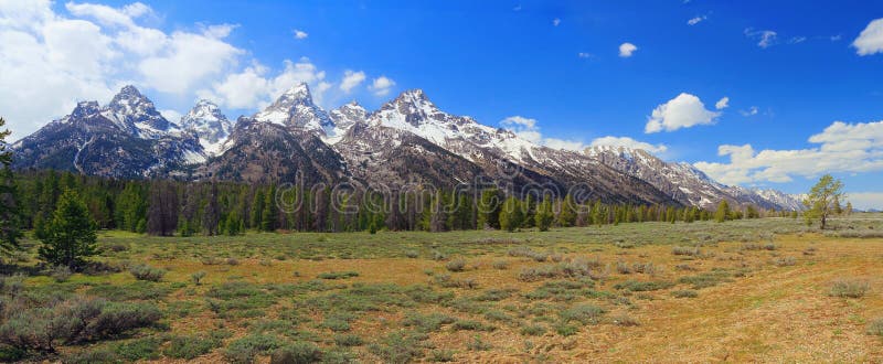 Landscape Panorama of Grand Teton Range in Afternoon Light, Grand Teton National Park, Wyoming, USA royalty free stock image Landscape Panorama of Grand Teton Range in Afternoon Light, Grand Teton National Park, Wyoming, USA royalty free stock image