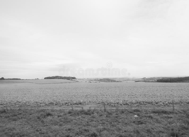 Panorama inglês do país em Salisbúria em preto e branco fotografia de stock Panorama inglês do país em Salisbúria em preto e branco fotografia de stock
