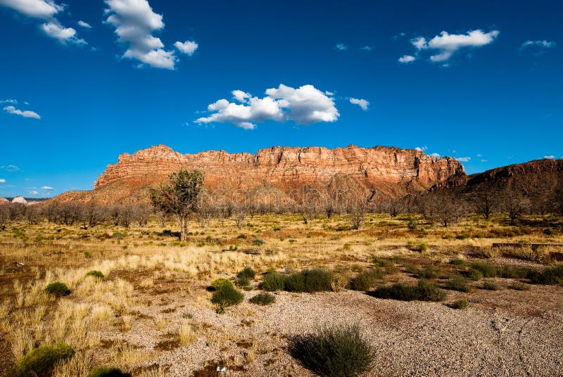 Panorama on kolob plateau