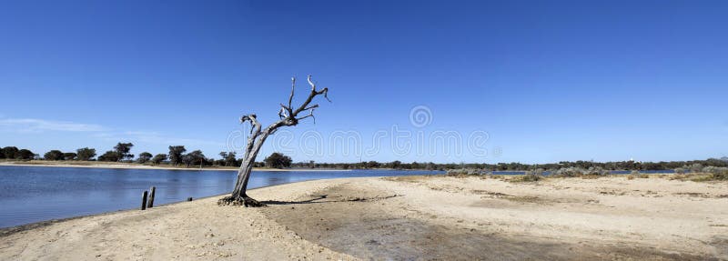 Panorama of Leschenault Estuary Western Australia