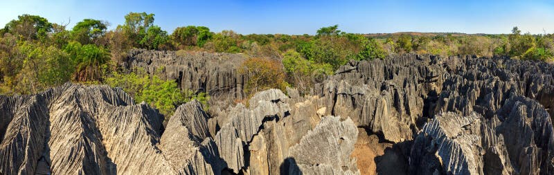 Panorama minuto di Tsingy fotografia stock libera da diritti Panorama minuto di Tsingy fotografia stock libera da diritti