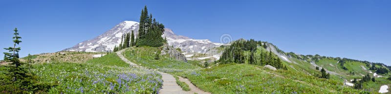 Krásne a pokojné Mount Rainier s jeho krásne letné lúky.