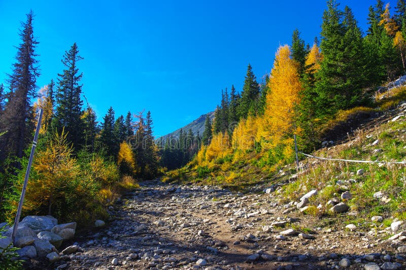 Panorama mountain autumn landscape