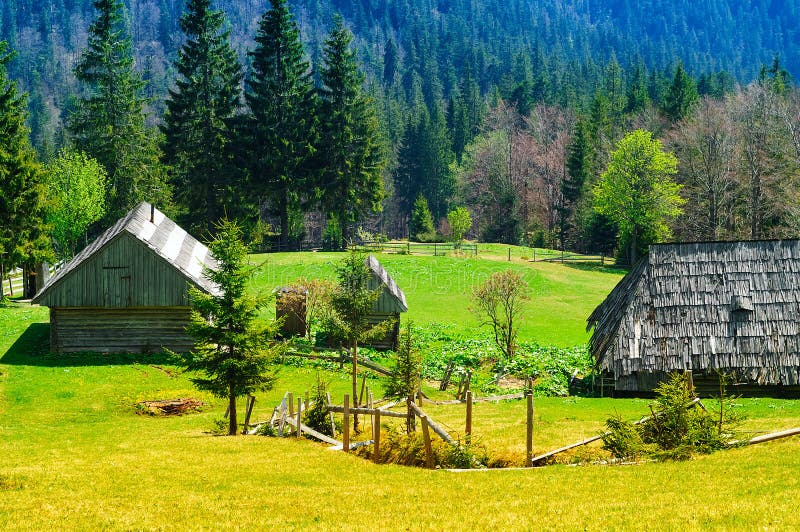 Panorama of Mountain Rural Landscape Against a Background of Wild ...