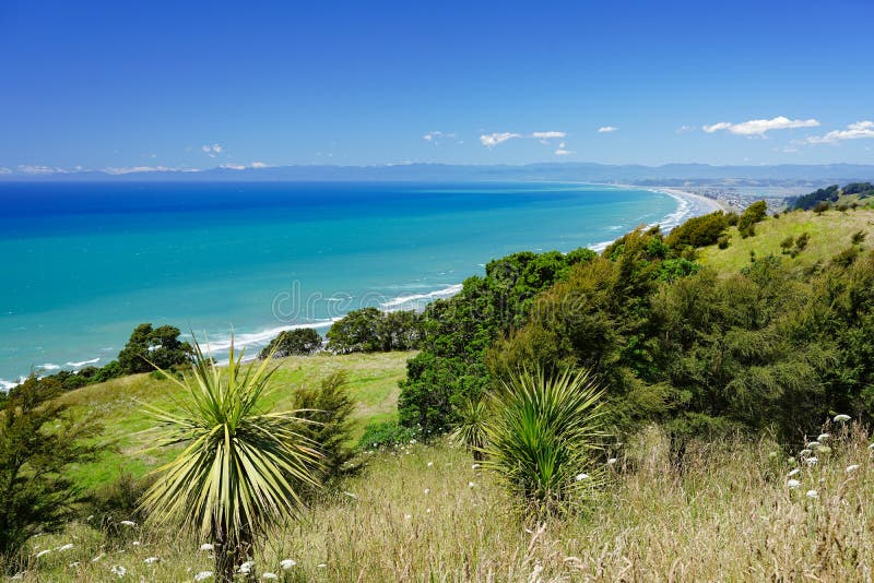 Panorama of Ohope Beach, Bay of Plenty Stock Image Image of seascape