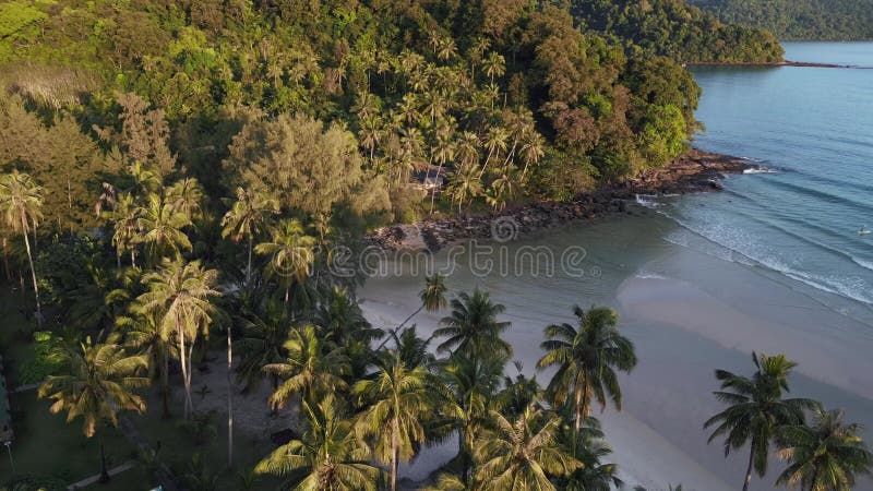 Panorama overview golden hour beach jungle. Spectacular aerial view flight drone